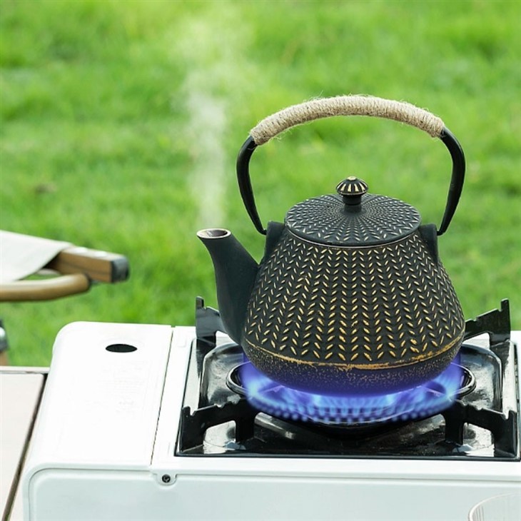 Design Cast Iron Teapot